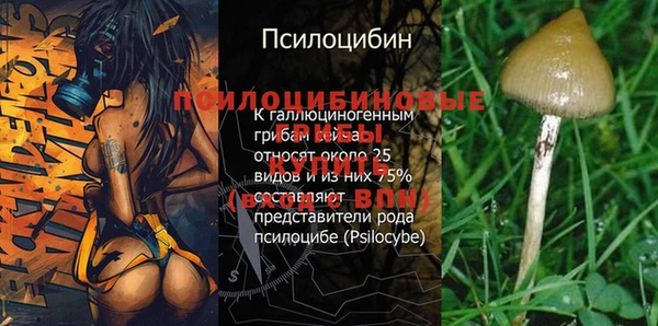 дистиллят марихуана Иннополис