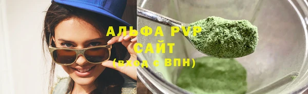 сатива Зеленокумск