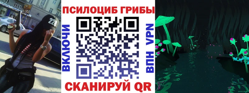 Псилоцибиновые грибы GOLDEN TEACHER  Купить где  Скопин 