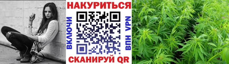 Конопля семена  Купить где  Скопин 